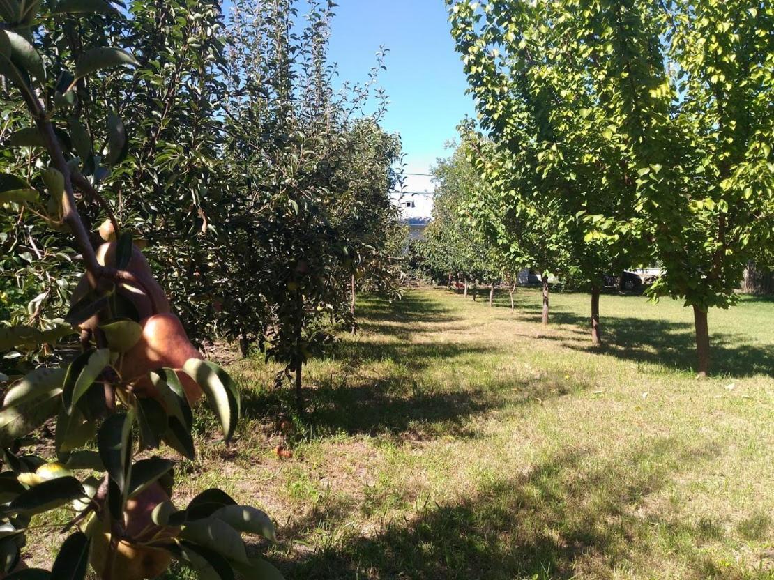 Edelweiss Guesthouse, Glamping And Camping Suhaia Kültér fotó